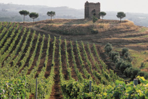 Chianti wine tour in Tuscany